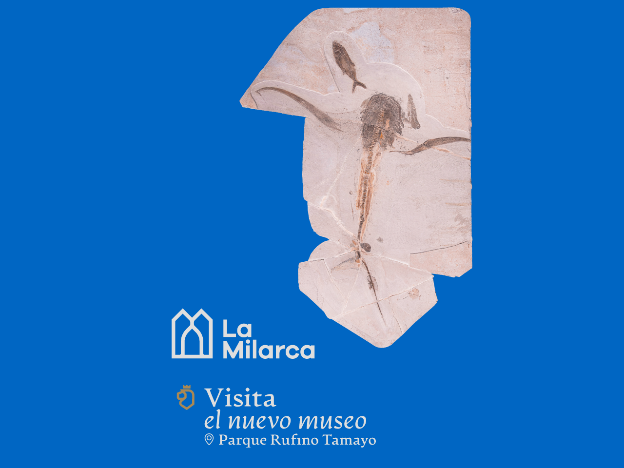 Conoce el Museo La Milarca